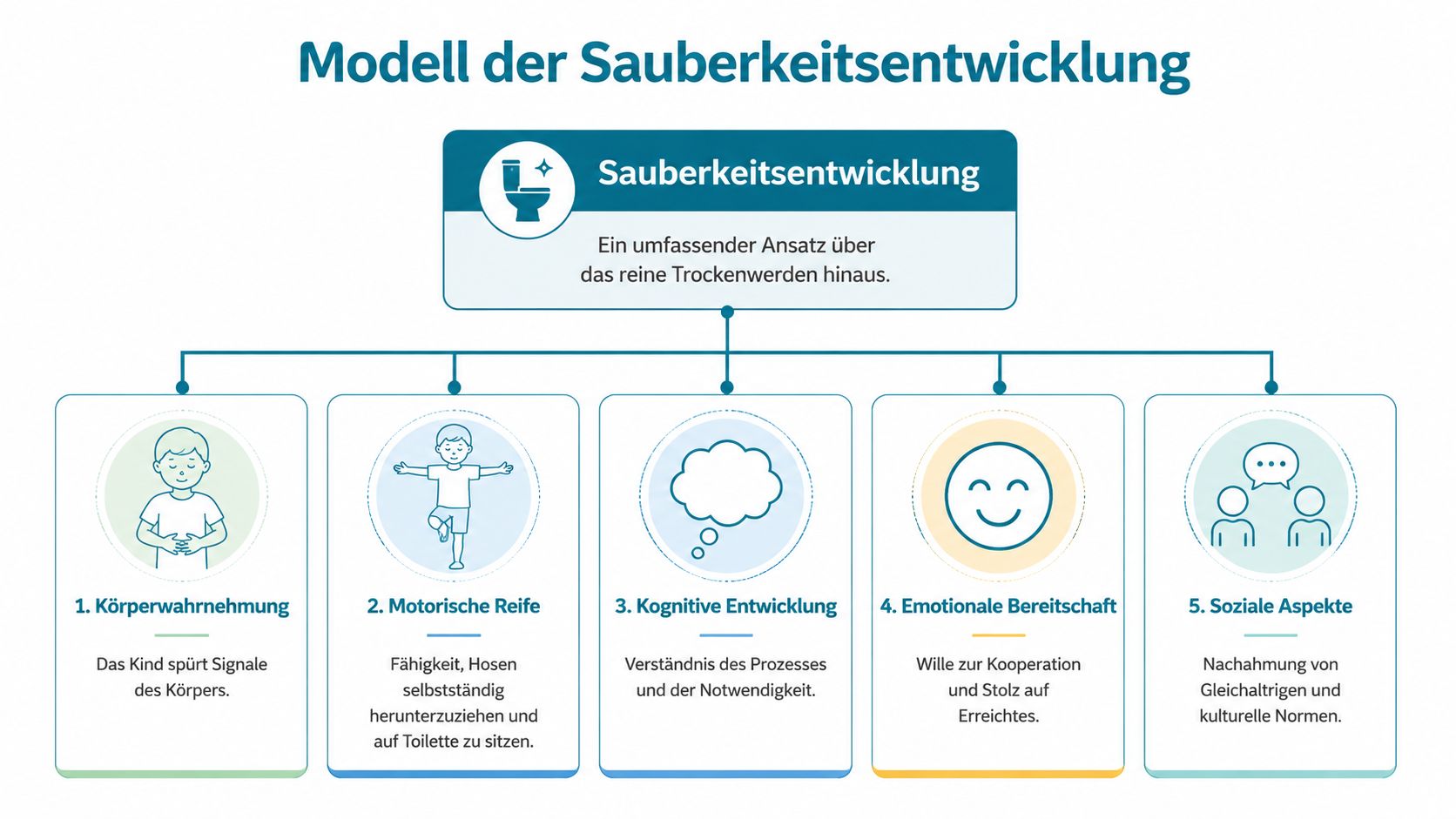Grafik zur Modell der Sauberkeitsentwicklung bei Kindern mit fünf verschiedenen Entwicklungsaspekten von körperlich bis sozial.