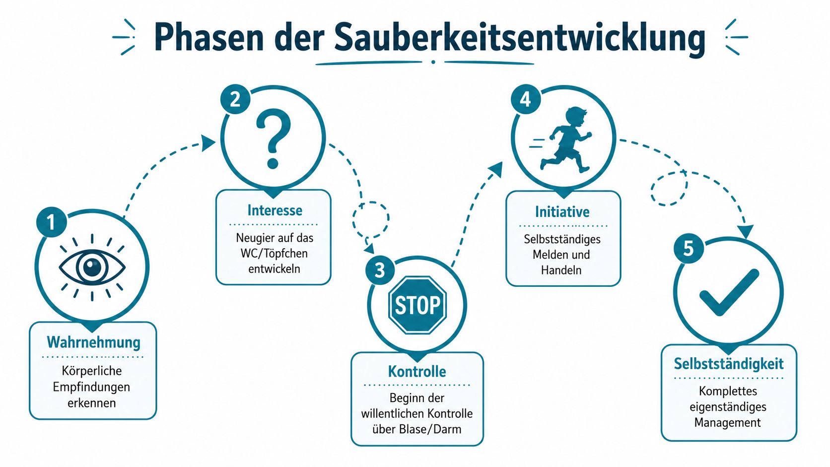 Eine Infografik, die die fünf Phasen der kindlichen Sauberkeitsentwicklung von der Wahrnehmung bis zur Selbstständigkeit darstellt.