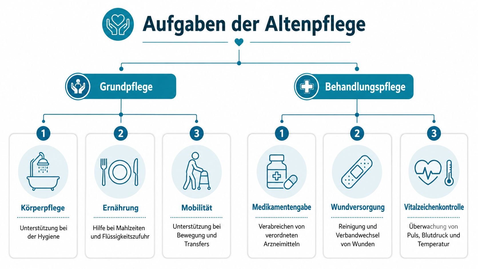 Eine Übersichtsgrafik, die die Aufgaben der Altenpflege in Grundpflege und Behandlungspflege sowie deren Unterkategorien unterteilt.