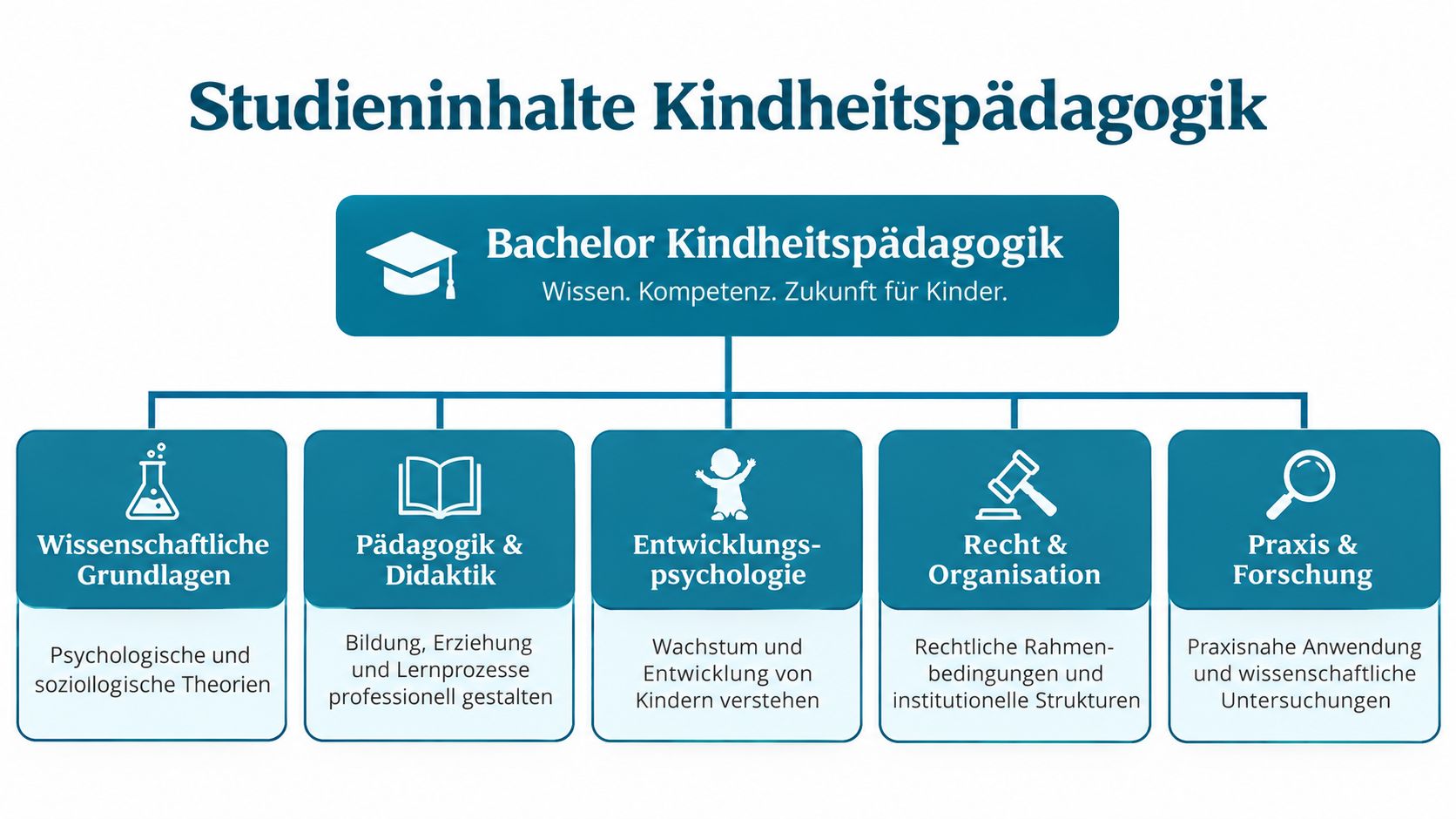 Übersichtsgrafik zu den zentralen Studieninhalten des Bachelor-Studiengangs Kindheitspädagogik mit fünf verschiedenen fachlichen Kernbereichen.