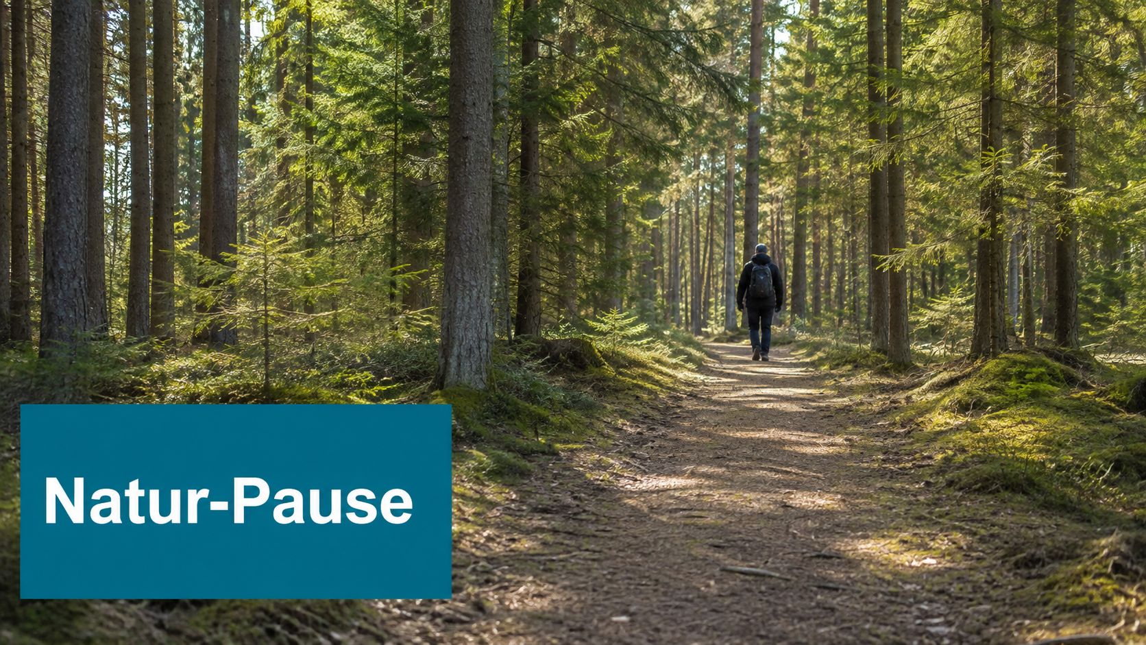 Ein Wanderer geht auf einem sonnendurchfluteten Waldweg spazieren, um eine erholsame Natur-Pause im Wald zu genießen.