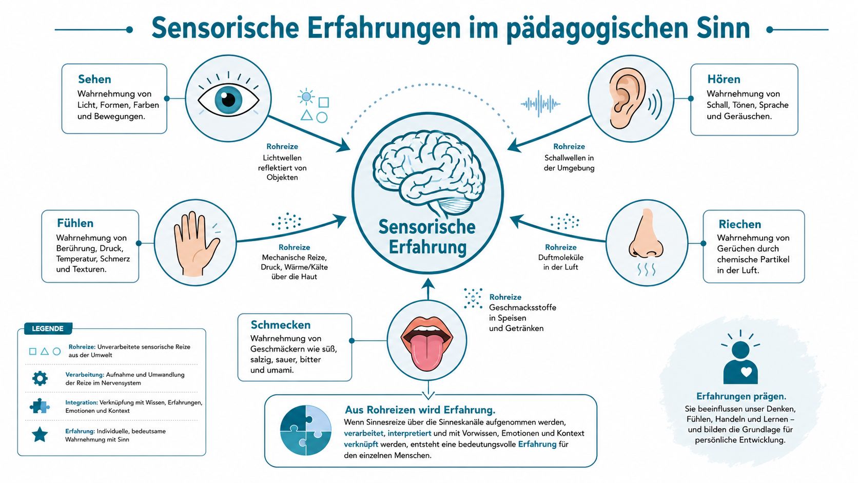 Eine Infografik erklärt, wie sensorische Erfahrungen aus Rohreizen durch Verarbeitung und Integration im Gehirn entstehen.